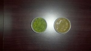 Comparison of freshly ground neem paste (Left) and neem paste made with store bought tea bag (Right)